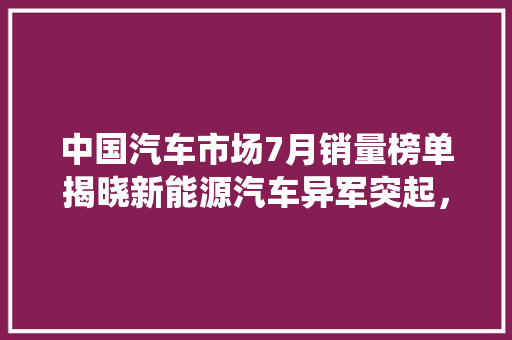 中国汽车市场7月销量榜单揭晓新能源汽车异军突起，传统车企面临挑战