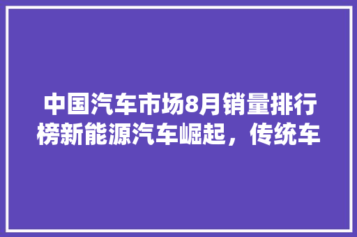 中国汽车市场8月销量排行榜新能源汽车崛起，传统车企挑战加剧