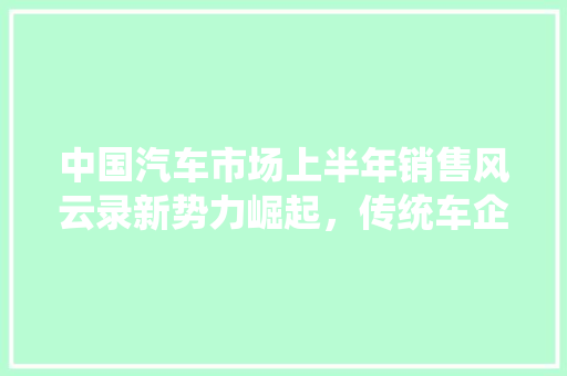 中国汽车市场上半年销售风云录新势力崛起，传统车企稳扎稳打