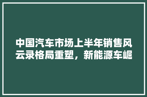 中国汽车市场上半年销售风云录格局重塑，新能源车崛起