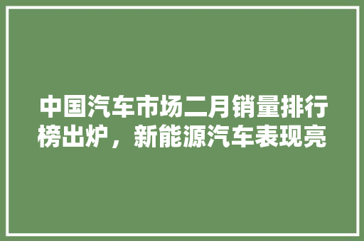 中国汽车市场二月销量排行榜出炉，新能源汽车表现亮眼
