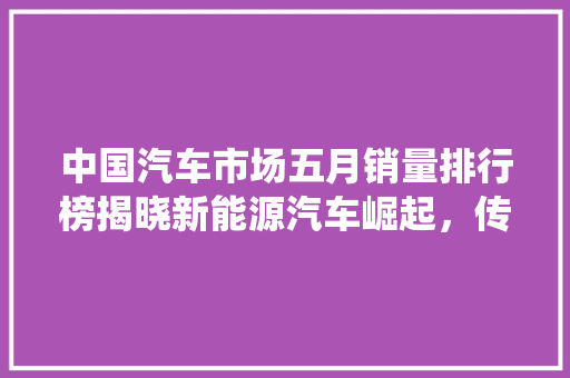 中国汽车市场五月销量排行榜揭晓新能源汽车崛起，传统车企面临挑战