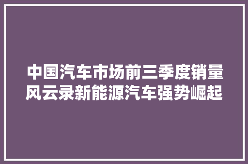 中国汽车市场前三季度销量风云录新能源汽车强势崛起，传统燃油车面临挑战