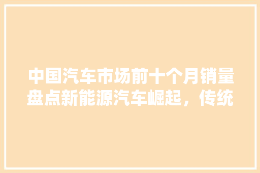 中国汽车市场前十个月销量盘点新能源汽车崛起，传统燃油车面临挑战