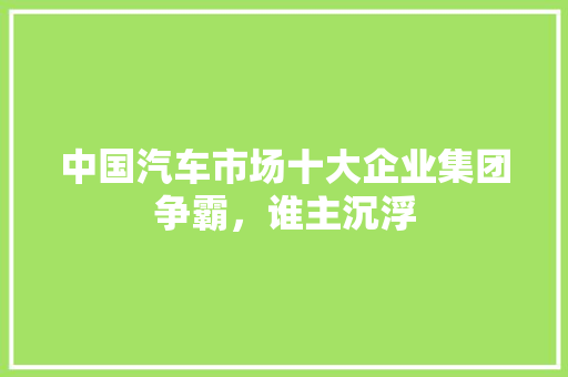 中国汽车市场十大企业集团争霸，谁主沉浮