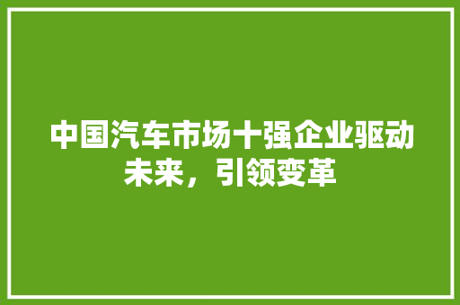 中国汽车市场十强企业驱动未来，引领变革