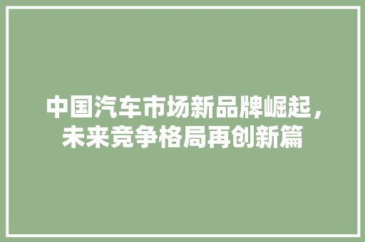 中国汽车市场新品牌崛起，未来竞争格局再创新篇