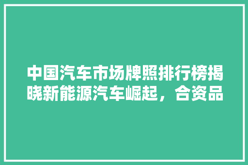 中国汽车市场牌照排行榜揭晓新能源汽车崛起，合资品牌稳居前列