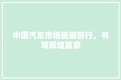 中国汽车市场砥砺前行，书写辉煌篇章