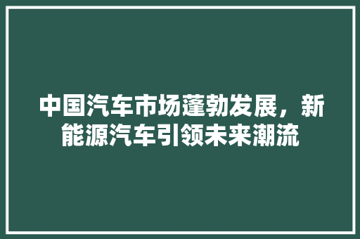 中国汽车市场蓬勃发展，新能源汽车引领未来潮流