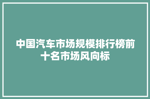 中国汽车市场规模排行榜前十名市场风向标