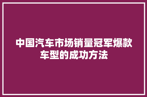 中国汽车市场销量冠军爆款车型的成功方法