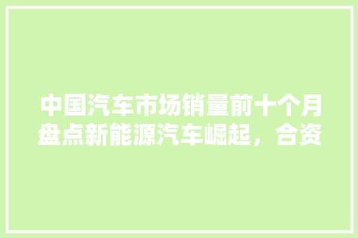 中国汽车市场销量前十个月盘点新能源汽车崛起，合资品牌竞争加剧