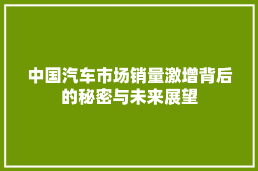 中国汽车市场销量激增背后的秘密与未来展望