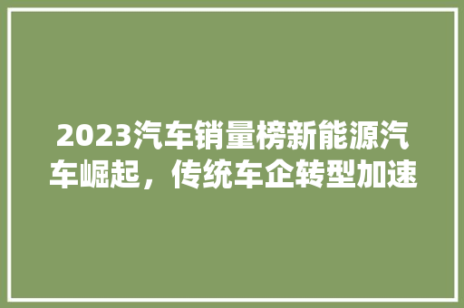 2023汽车销量榜新能源汽车崛起，传统车企转型加速