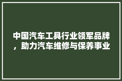 中国汽车工具行业领军品牌，助力汽车维修与保养事业腾飞