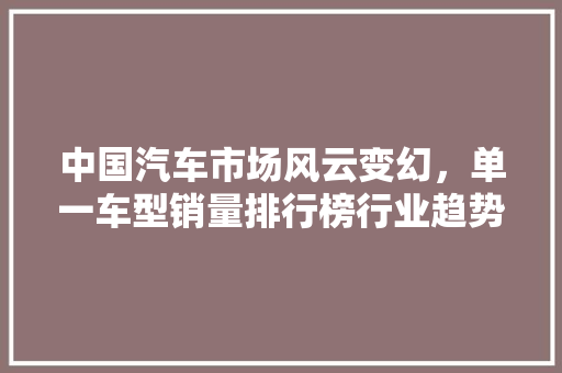中国汽车市场风云变幻，单一车型销量排行榜行业趋势