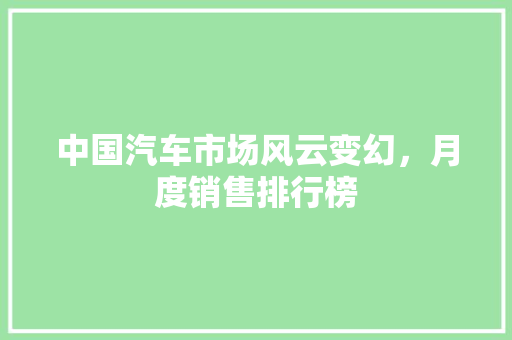 中国汽车市场风云变幻，月度销售排行榜