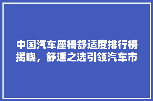 中国汽车座椅舒适度排行榜揭晓，舒适之选引领汽车市场新风向