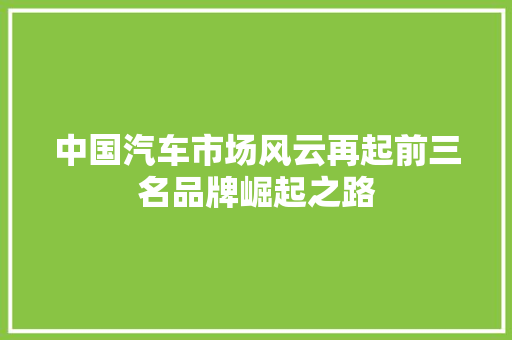 中国汽车市场风云再起前三名品牌崛起之路