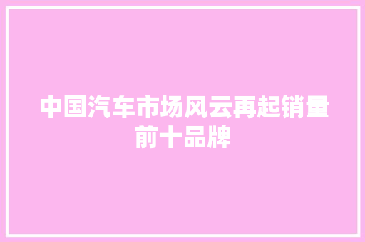中国汽车市场风云再起销量前十品牌