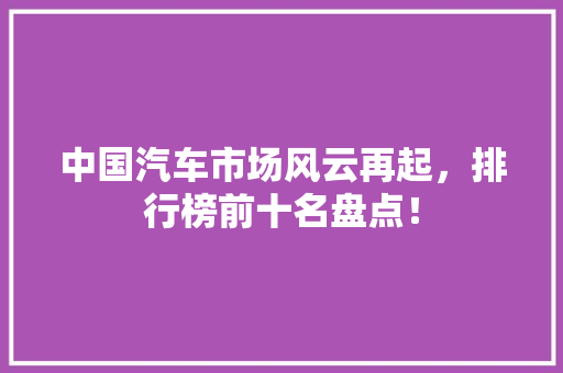 中国汽车市场风云再起，排行榜前十名盘点！