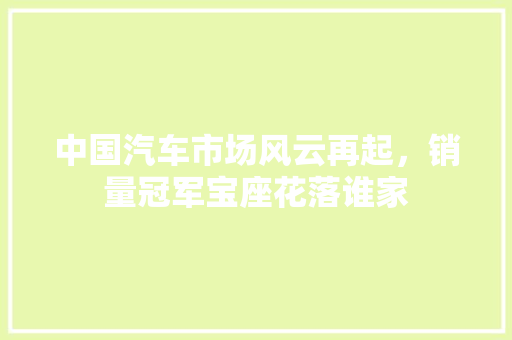 中国汽车市场风云再起，销量冠军宝座花落谁家