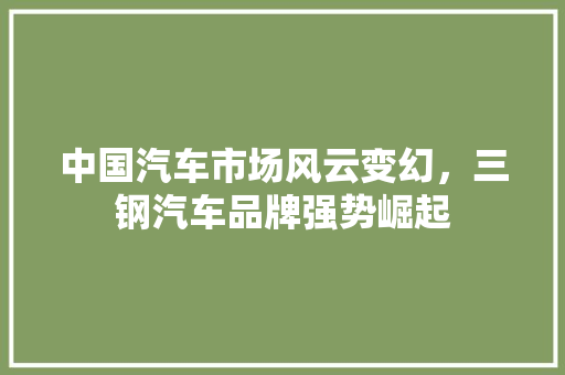 中国汽车市场风云变幻，三钢汽车品牌强势崛起