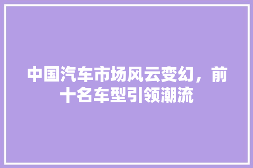 中国汽车市场风云变幻，前十名车型引领潮流