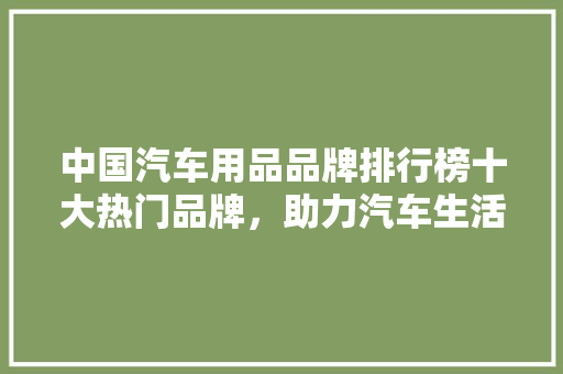 中国汽车用品品牌排行榜十大热门品牌，助力汽车生活品质提升