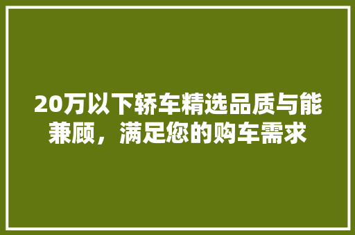 20万以下轿车精选品质与能兼顾，满足您的购车需求