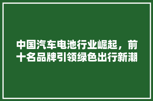 中国汽车电池行业崛起，前十名品牌引领绿色出行新潮流