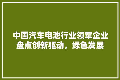 中国汽车电池行业领军企业盘点创新驱动，绿色发展