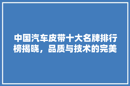 中国汽车皮带十大名牌排行榜揭晓，品质与技术的完美融合