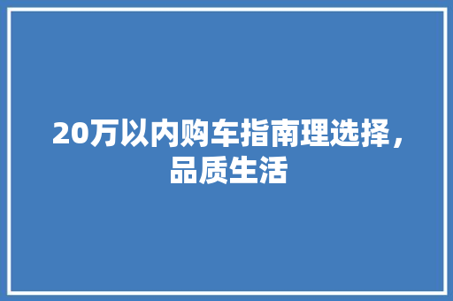 20万以内购车指南理选择，品质生活
