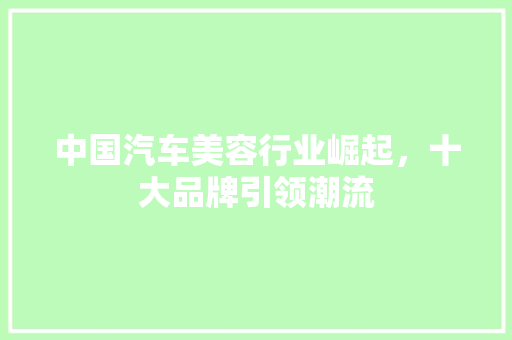 中国汽车美容行业崛起，十大品牌引领潮流