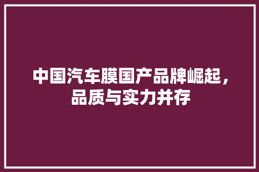 中国汽车膜国产品牌崛起，品质与实力并存