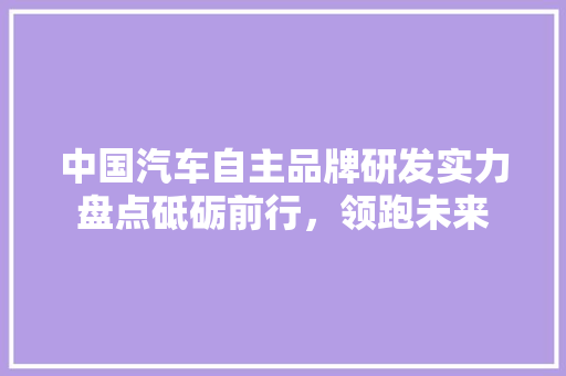 中国汽车自主品牌研发实力盘点砥砺前行，领跑未来