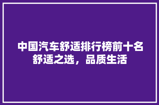 中国汽车舒适排行榜前十名舒适之选，品质生活