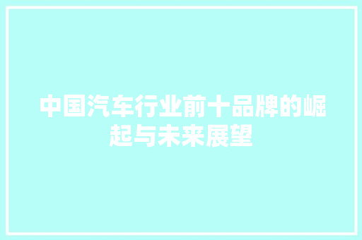 中国汽车行业前十品牌的崛起与未来展望