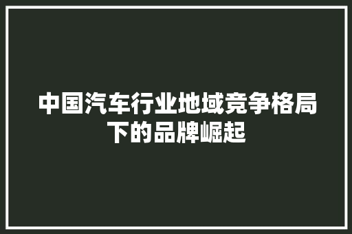中国汽车行业地域竞争格局下的品牌崛起