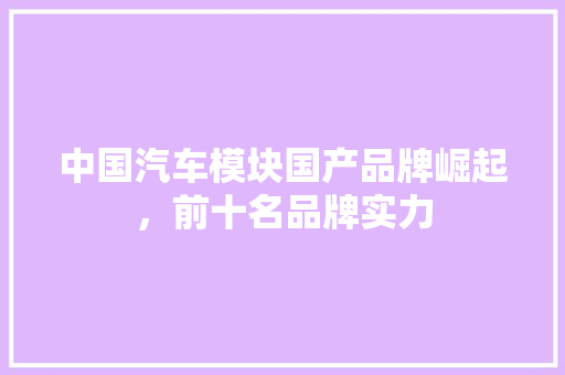 中国汽车模块国产品牌崛起，前十名品牌实力