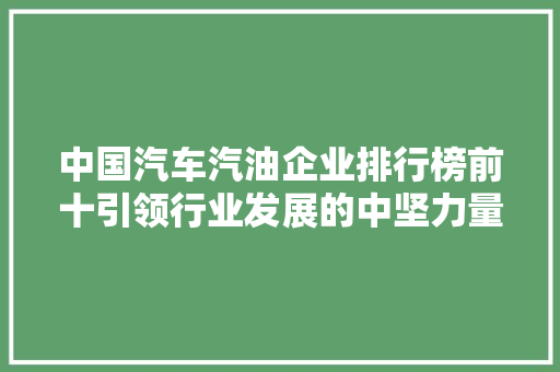 中国汽车汽油企业排行榜前十引领行业发展的中坚力量