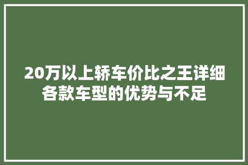 20万以上轿车价比之王详细各款车型的优势与不足
