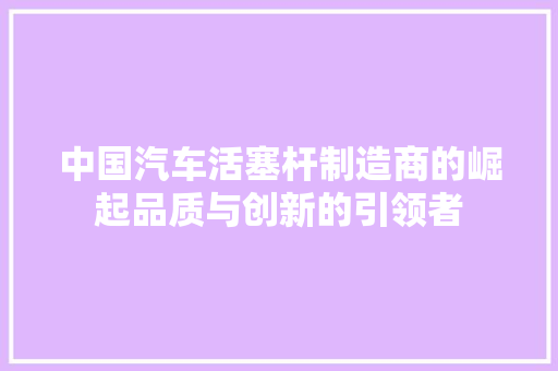 中国汽车活塞杆制造商的崛起品质与创新的引领者