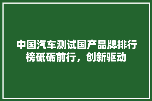 中国汽车测试国产品牌排行榜砥砺前行，创新驱动