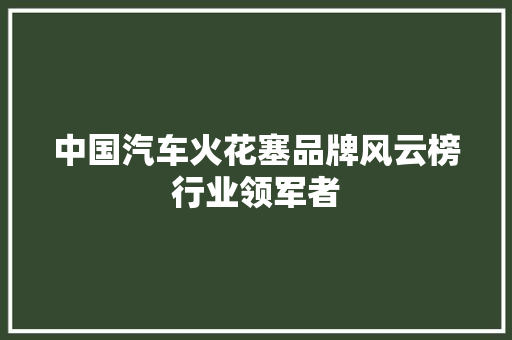 中国汽车火花塞品牌风云榜行业领军者