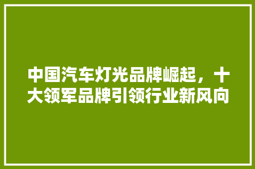 中国汽车灯光品牌崛起，十大领军品牌引领行业新风向