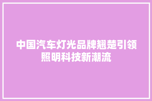中国汽车灯光品牌翘楚引领照明科技新潮流