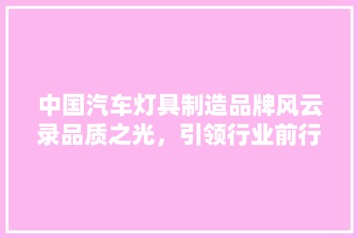 中国汽车灯具制造品牌风云录品质之光，引领行业前行